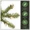 7.5 ft. Pre-Lit Dunhill® Fir Artificial Christmas Tree, Clear Lights